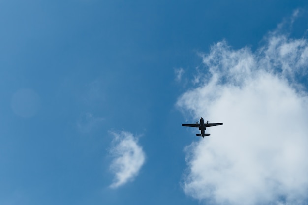 Un avion dans le ciel a fermé les frontières aériennes risque de pandémie