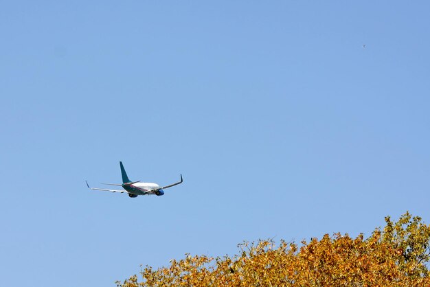 Avion décollant au-dessus des arbres tombés