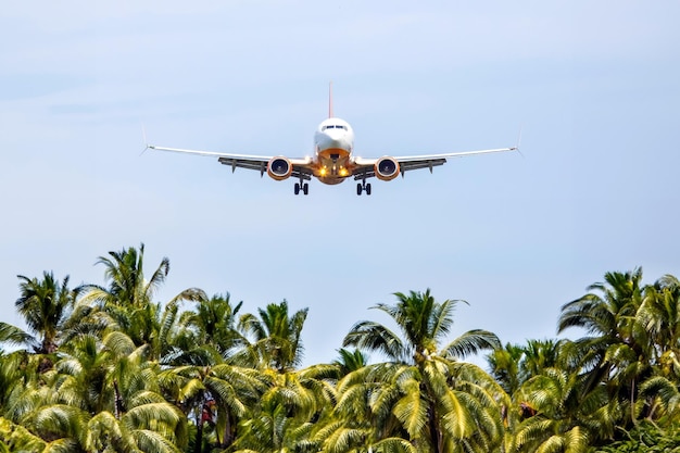 avion de passagers survole les palmiers industrie du transport aérien