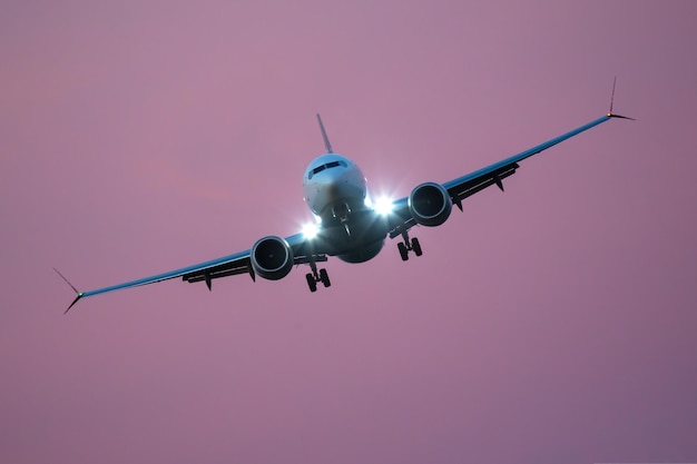 Un avion à réaction vole dans le ciel Industrie du transport aérien