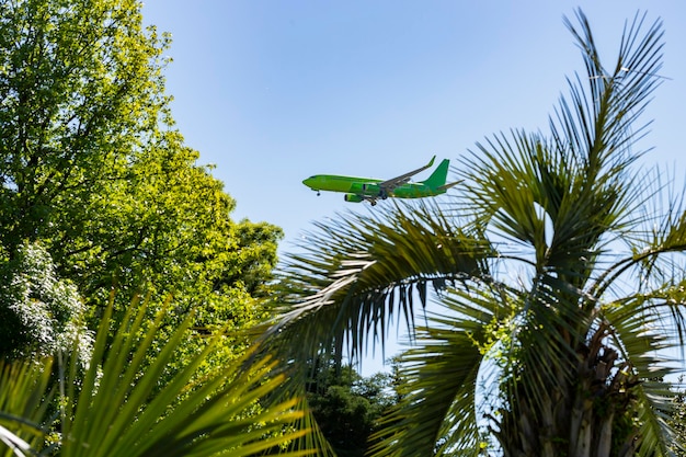 avion survolant les palmiers tropicaux ciel bleu clair temps de vacances