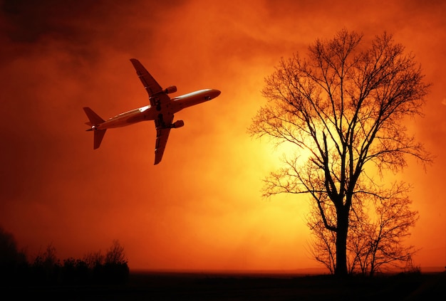 Un avion volant un matin d'hiver