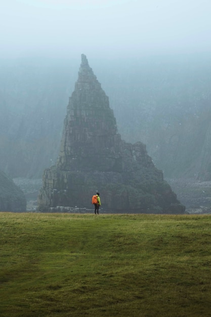 Avis de Duncansby Sea Stacks en Ecosse