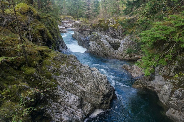 Avis de Little Qualicum Falls sur l'île de Vancouver Canada