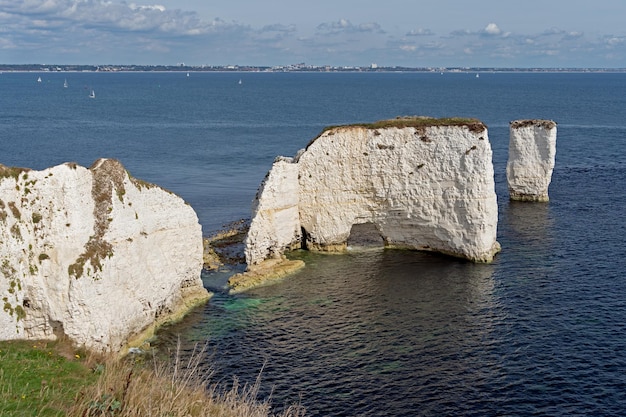 Avis de Old Harry Rocks à Handfast Point sur l'île de Purbeck dans le Dorset