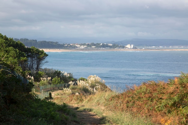 Avis de Somo de Loredo à Santander, Cantabrie, Espagne