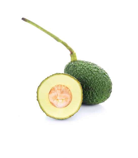 Avocat isolé