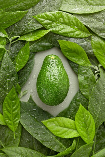 avocat mûr entouré de feuilles vue de dessus concept de mise à plat d'une bonne nutrition