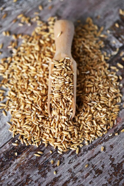 Avoine Grains d'avoine dans une spatule en bois.