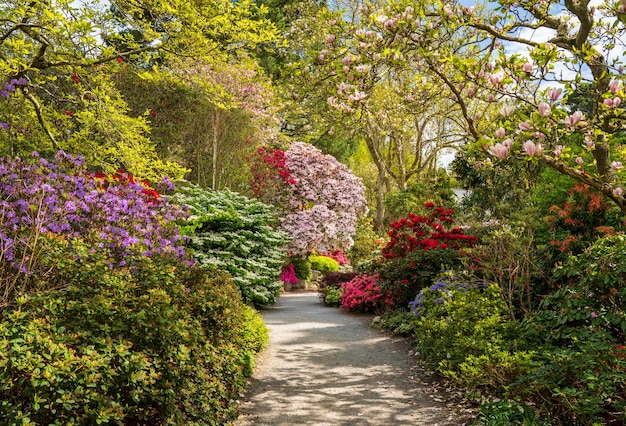 Des azalées et des rhododendrons entourent le sentier au printemps