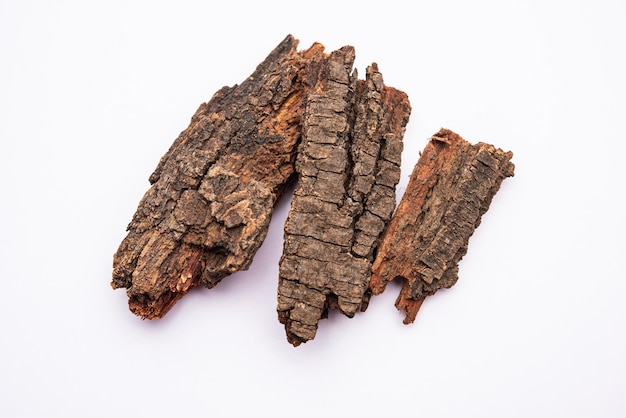 Photo babul chaal ou écorce d'acacia également connue sous le nom d'écorce de vachellianiloticakikar chaal gum écorce de arbre arabe