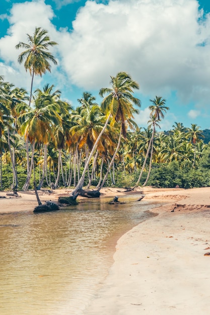 Bach des Caraïbes avec une maison de noix de coco