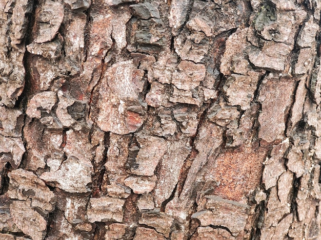 Backgroun en bois naturel texturé marron