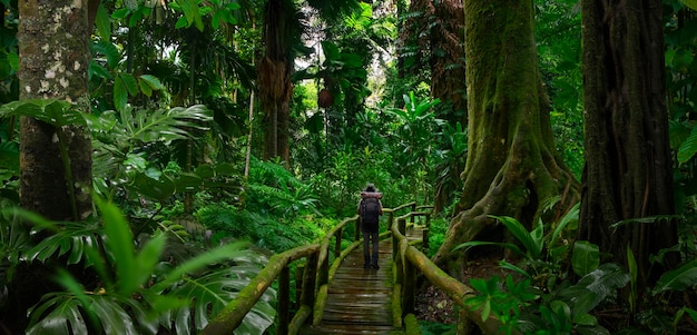 Backpacker dans la nature