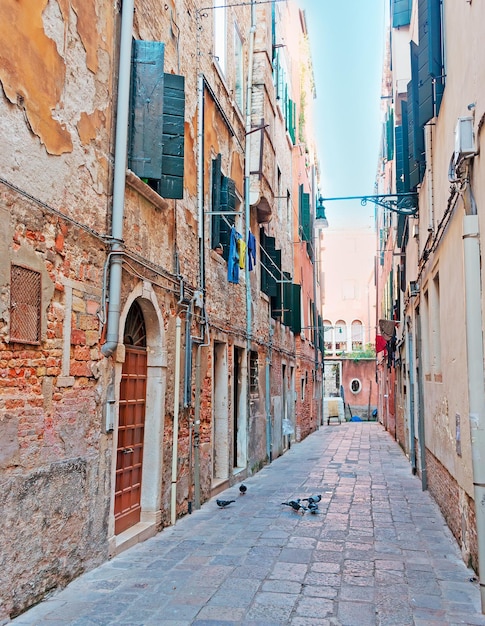 Backstreet à Venise avec des pigeons