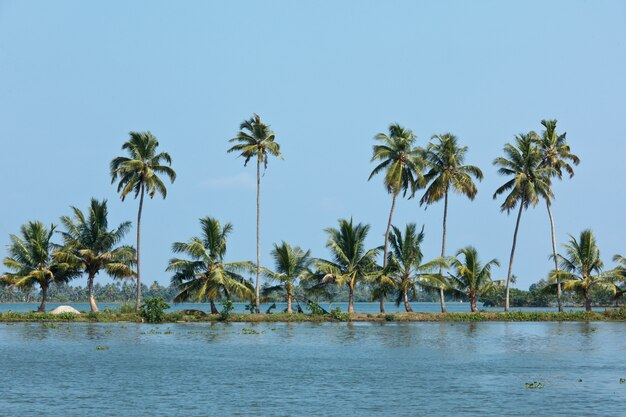 Backwaters du Kerala