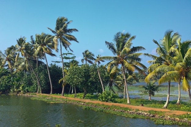 Backwaters du Kerala