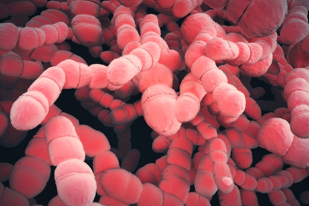 Bactéries de fond rouges