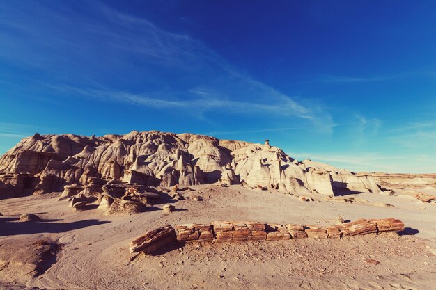 Badlands de Bisti, zone sauvage de De-na-zin, Nouveau-Mexique, États-Unis