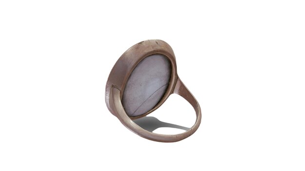 Une bague en bois et métal avec un couvercle en verre.