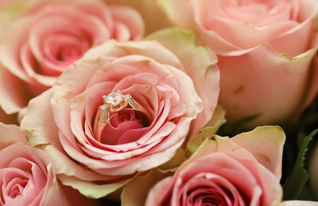 Une bague de fiançailles en diamant d'or dans une belle fleur de rose rose parmi une grande quantité de roses dans une grande