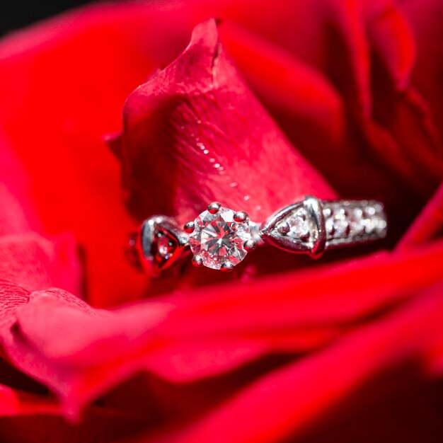 Bague en or blanc et diamants dans des pétales de roses rouges