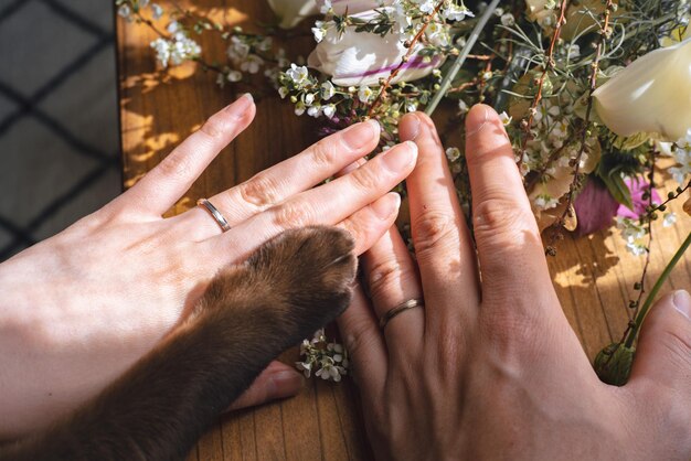 Photo des bagues de mariage.