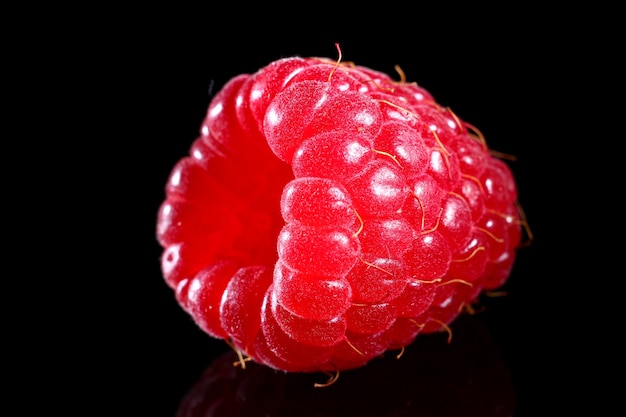 Une baie de framboise rouge sur fond noir.