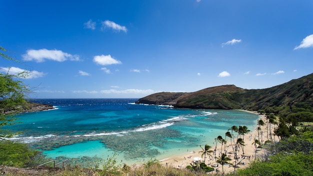 Baie d'Hanauma, paradis de la plongée en apnée à Hawaï