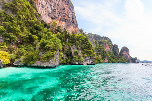 Baie des singes à l&#39;île Phi Phi