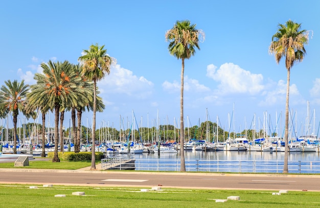 Baie avec yachts à st petersburg florida usa