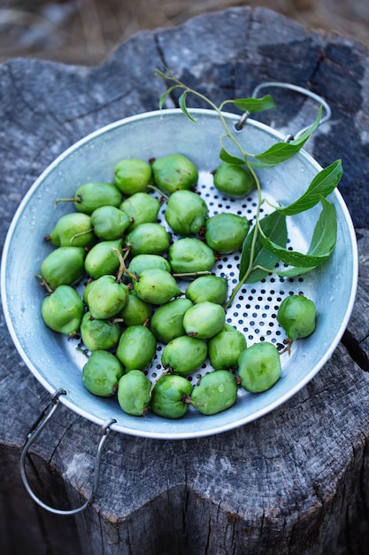 Baies d'actinidia juteuses