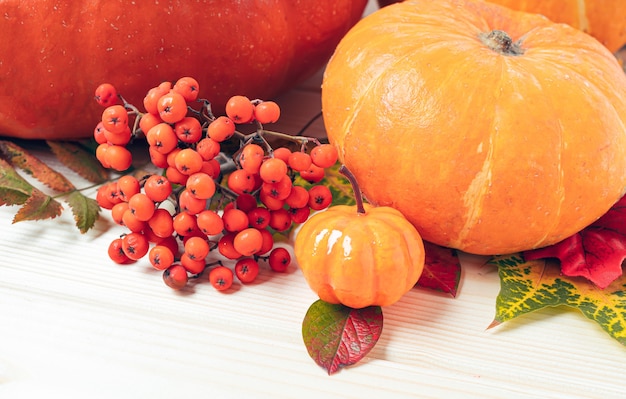 Baies de citrouilles et feuilles tombées sur fond de bois