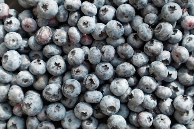 Baies de fond de bleuets frais close up blueberry texture