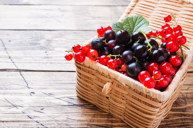 Baies fraîches de cassis et de cassis dans un panier en bois avec espace de copie.