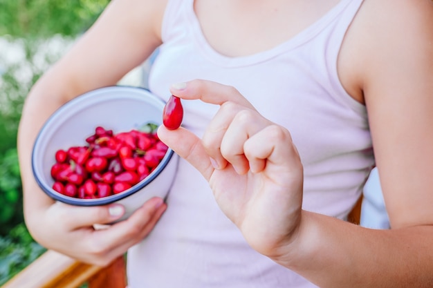 Baies fraîches de cornouiller rouge entre les mains d'une fille.