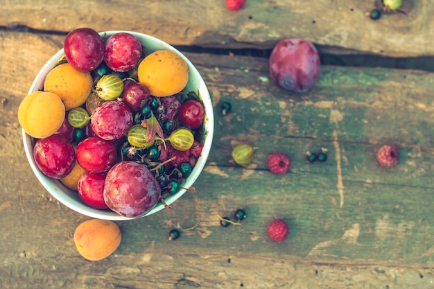 Baies de fruits d&#39;été - groseilles à maquereau, prunes, épine-vinette, framboises, abricots.