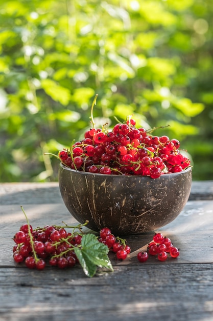 Photo baies de groseilles rouges mûres dans un bol sur un fond en bois rustique