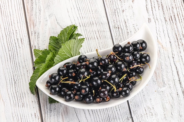 Photo des baies juteuses de cassis noirs dans le bol