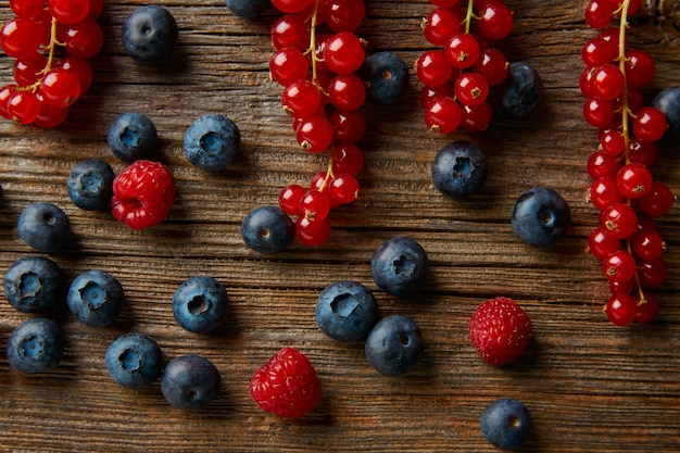 Les baies mélangent les bleuets les groseilles les groseilles