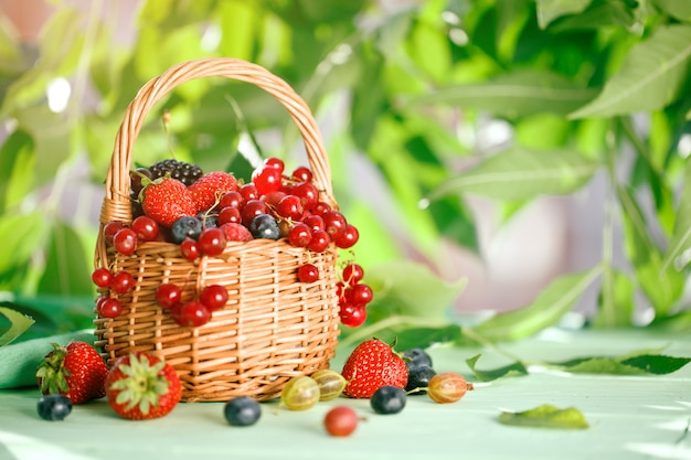 Baies mûres dans un panier sur une table en bois