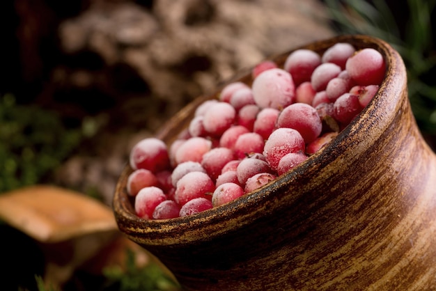 Baies rouges de canneberges mûres dans un pot en argile sur une couverture de mousse au sol forestier