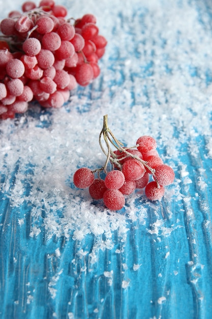 Baies rouges de viorne avec cristaux de glace, sur fond bleu