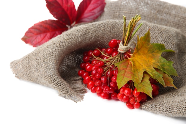 Baies rouges de viorne sur une serviette en sac, isolated on white