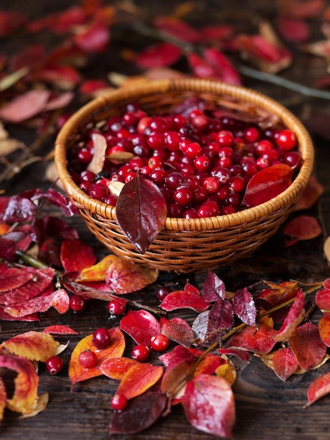 Baies sur une table en bois Canneberges dans le panier Feuilles rouges et récolte d'automne Baies d'automne