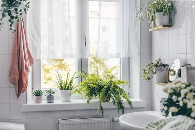 Photo baignade blanche moderne avec un lavabo, une grande fenêtre et beaucoup de plantes zone de confort à la maison bien-être