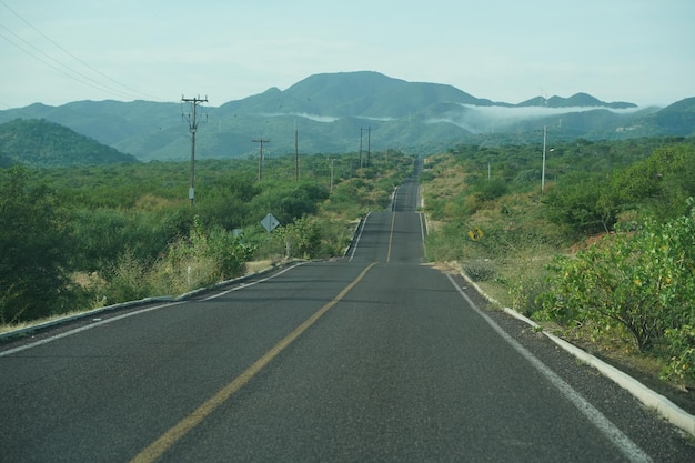 Baja california la paz à san jose del cabo route sans fin