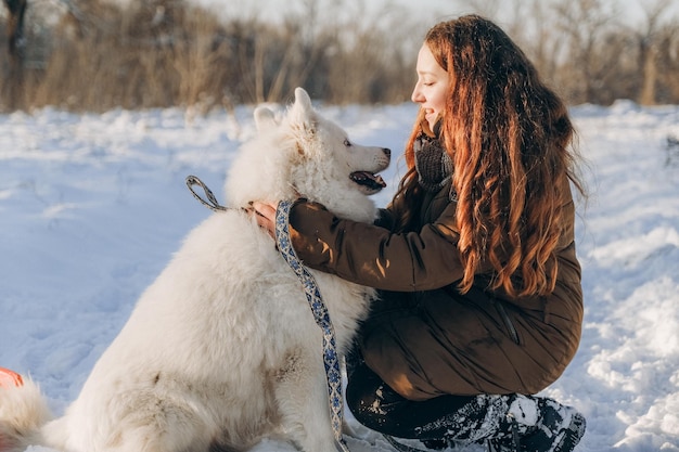 Balade hivernale avec votre animal Samoyède préféré