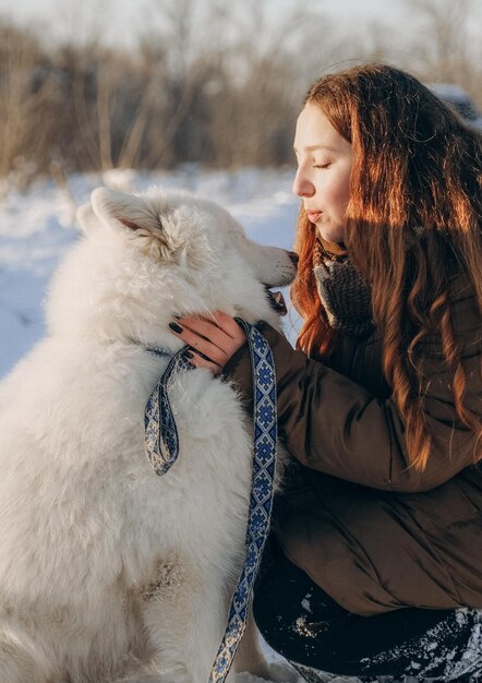 Balade hivernale avec votre animal Samoyède préféré