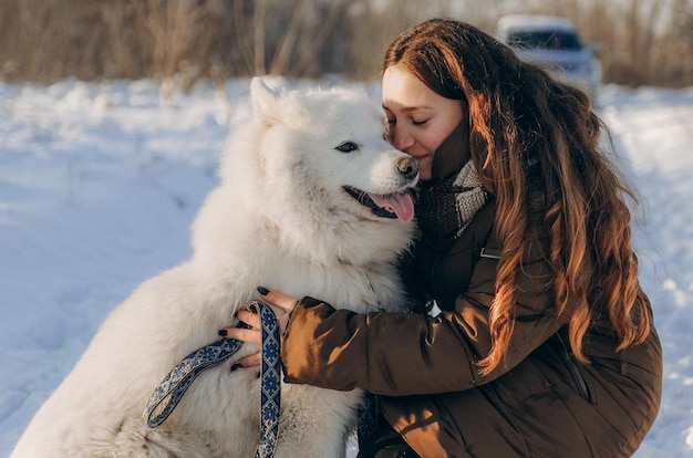 Balade hivernale avec votre animal Samoyède préféré